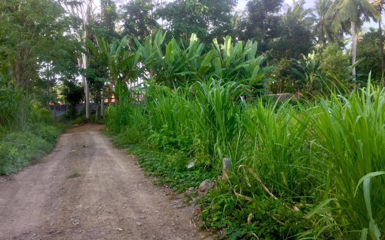Chemel Homestay Kuta  Экстерьер фото